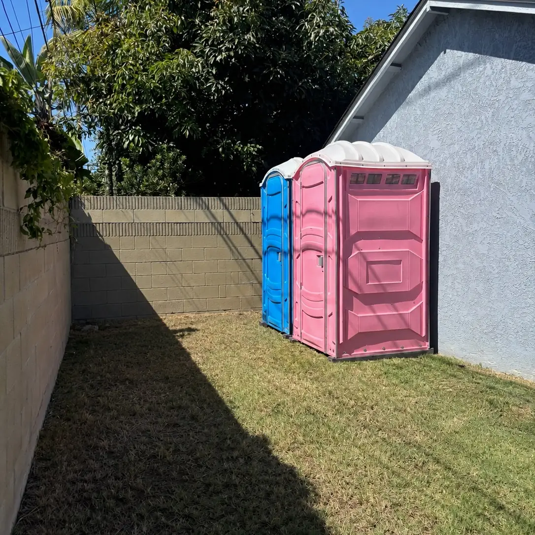A blue and a pink porta potty standing side by side in a fenced backyard
